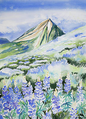 Wilderness Painting - Watercolor - Crested Butte Lupine Landscape by Cascade Colors