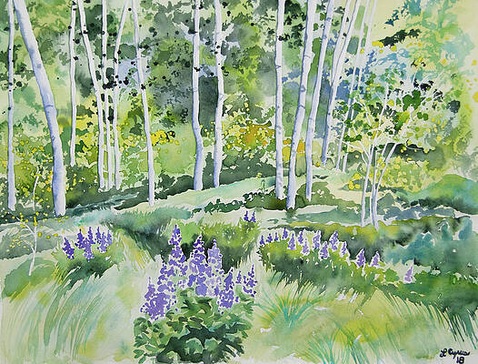 Painting - Watercolor - Early Summer Aspen And Lupine by Cascade Colors