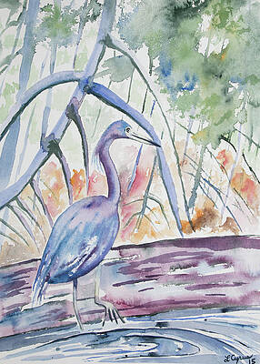 Painting - Watercolor - Little Blue Heron In Mangrove Forest by Cascade Colors