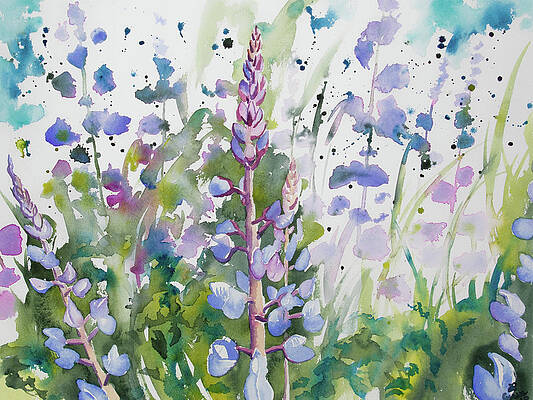Painting - Watercolor - Lupine Wildflowers by Cascade Colors