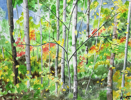 Painting - Watercolor - Northern Forest by Cascade Colors