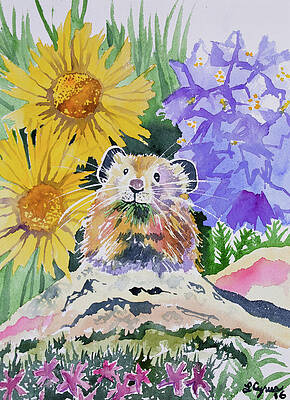 Painting - Watercolor - Pika With Wildflowers by Cascade Colors