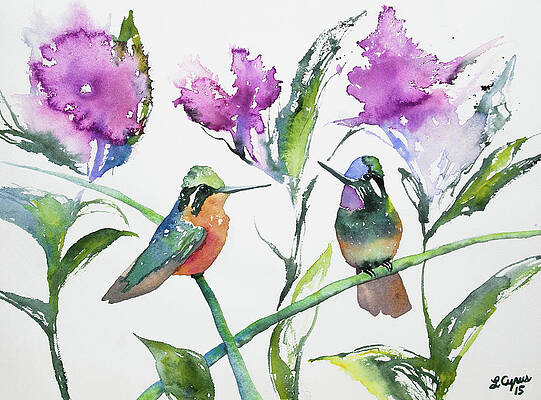 Wilderness Painting - Watercolor - Purple-throated Mountain Gems And Flowers by Cascade Colors