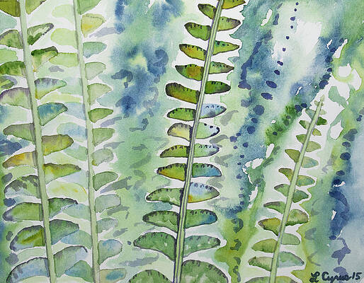 Painting - Watercolor - Rainforest Fern Impressions by Cascade Colors