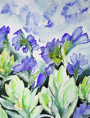 Sky Wall Art featuring the painting Watercolor - Rocky Mountain Wildflowers by Cascade Colors