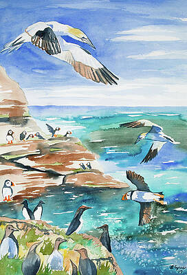 Sky Wall Art featuring the painting Watercolor - Seabirds Of The North Atlantic by Cascade Colors