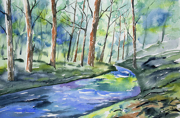 Painting - Watercolor - Summer Forest And Stream by Cascade Colors