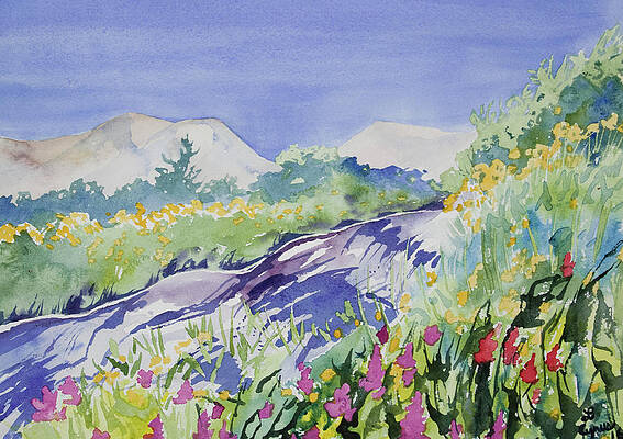 Painting - Watercolor - Sunny Colorado Summer by Cascade Colors