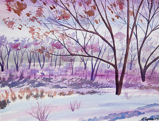 Wilderness Painting - Watercolor - Woodland Scene by Cascade Colors