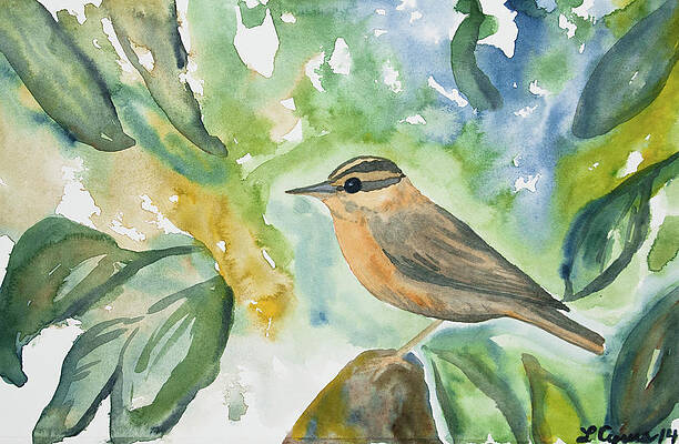 Wilderness Painting - Watercolor - Worm-eating Warbler by Cascade Colors