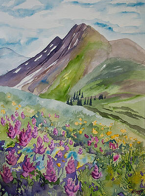 Wilderness Painting - Watercolor - Yankee Boy Basin Summer Landscape by Cascade Colors