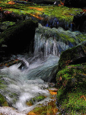 Waterfall Photograph - Waterfall Along PA AT by Raymond Salani III