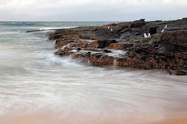 Beach Photograph - Water's Edge by Nicholas Blackwell
