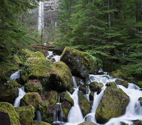 Wild Wall Art featuring the photograph Watson Falls by Jean Noren