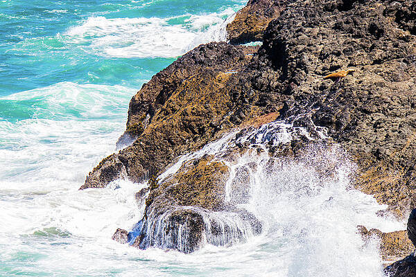 Wall Art featuring the photograph Waves In The Pacific by Jonny D