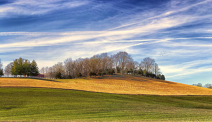 Serene Countryside Landscape Wall Art