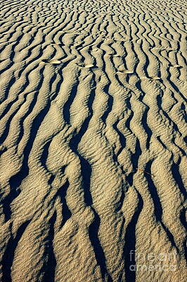 Beach Wall Art featuring the photograph Waves Of Sand by Sami Sarkis Photography