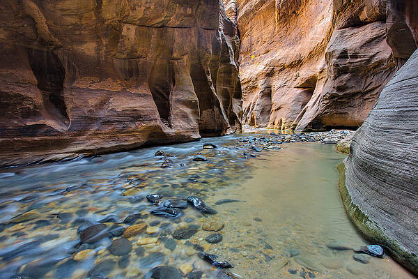 Wall Art featuring the photograph Way Of The Virgin River by Adam Mateo Fierro
