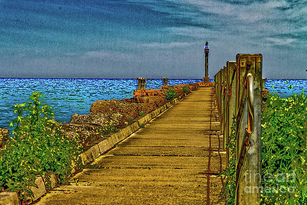 Sky Wall Art featuring the photograph Webster Jetty by William Norton
