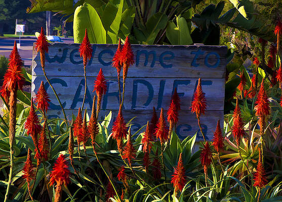 San Diego Wall Art featuring the digital art Welcome To Cardiff By The Sea, CA by Waterdancer