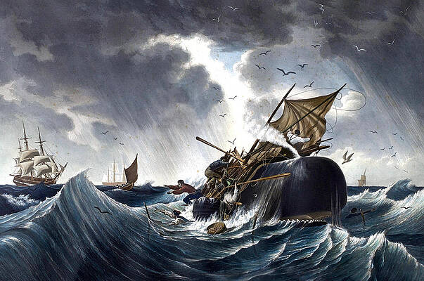 Whaling Paintings for Sale by Bridgeman Images