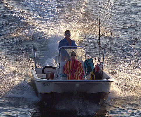 Wall Art featuring the photograph Whaler by Robert Newman
