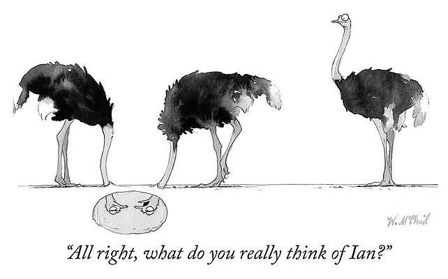Humorous Ostrich Scene with Three Birds Drawing