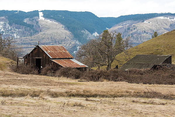 Oregon Wall Art featuring the photograph What Dreams They Had by Tom Cochran