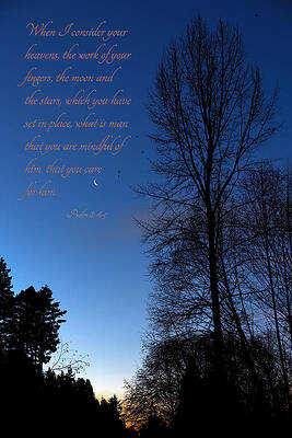 Sky Photograph - What Is Man by Mary Jo Allen