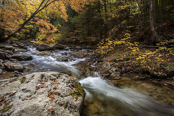 Fall Wall Art featuring the photograph Wheelerville by Todd Wilkinson