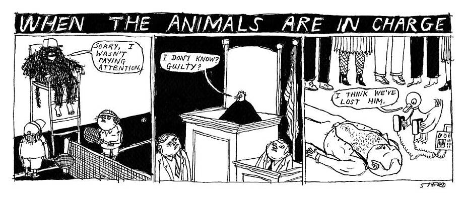 When Animals Rule the Courtroom Wall Art