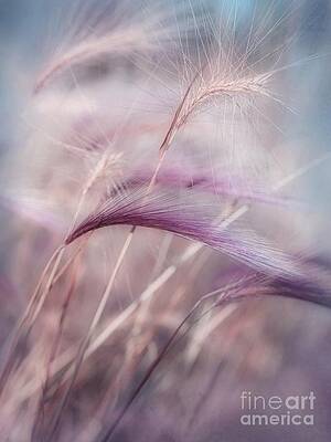 Whispers in the Wind Wall Art