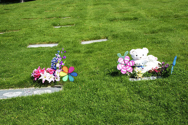 May Photograph - Peshastin White Bear And Pinwheels by Tom Cochran