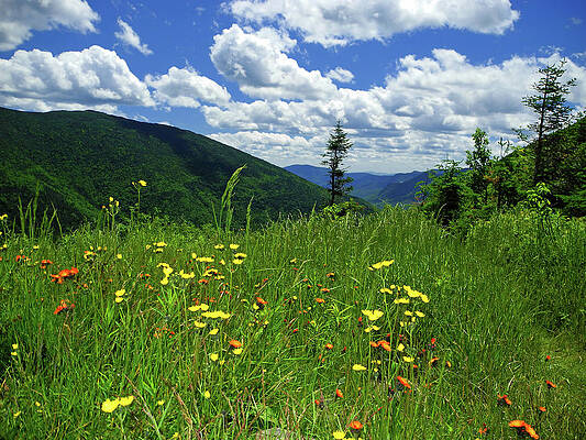 White Mountains 2 Print