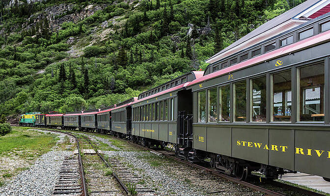 Photograph - White Pass And Yukon Railway by Ed Clark