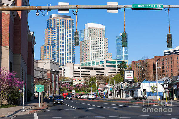 Wall Art featuring the photograph White Plains New York Skyline V by Clarence Holmes