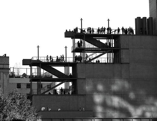 Wall Art featuring the photograph Whitney Silhouettes by Rona Black