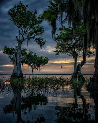 Sunrise Photograph - Wild Florida by Ghostwinds Photography