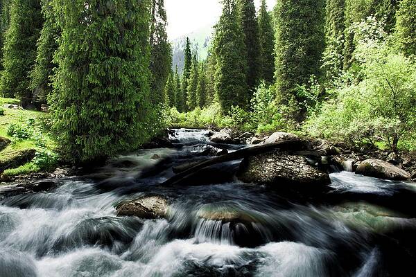 Travel Photograph - Wild River In Tian Shan by Robert Grac
