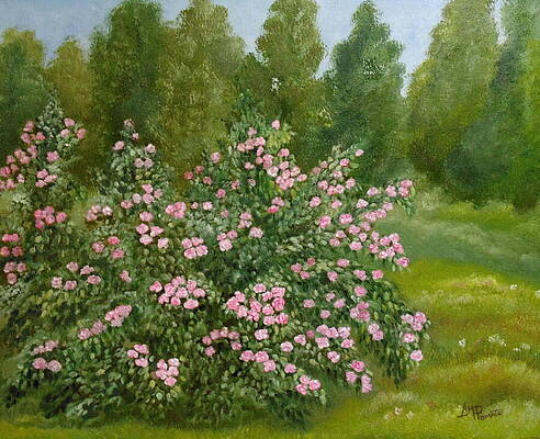 Blooming Pink Rose Bushes Painting