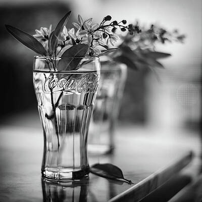 Flowers in a Coca-Cola Glass Wall Art