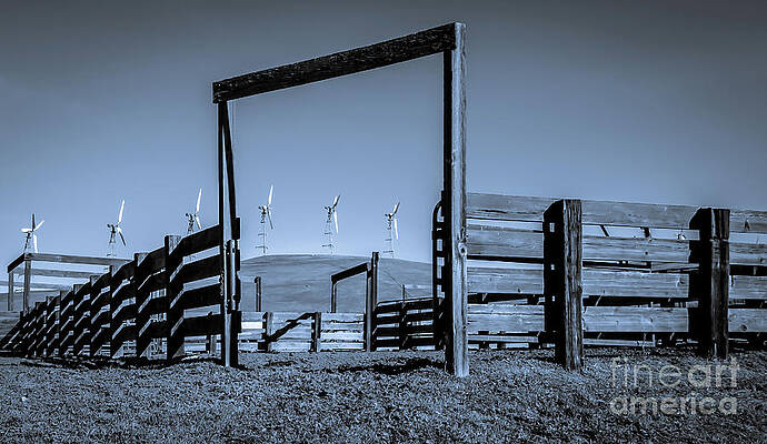Wall Art featuring the photograph Wind Machines Altamont Pass by Blake Webster