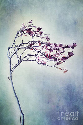 Windswept Blueberry Branch Wall Art