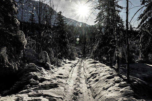Wall Art featuring the photograph Windy Day by Fred Denner