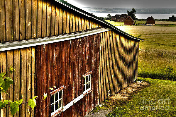 Finger Lake Photograph - Wine Barn by William Norton