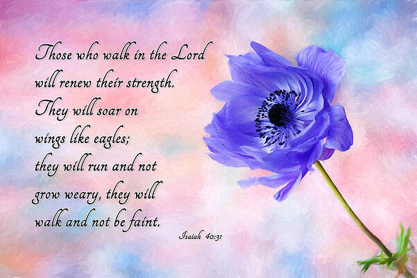 Purple Flower and Inspirational Quote Photograph