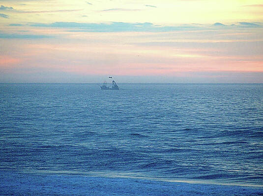 Wall Art featuring the photograph Winter Dragger by Robert Newman