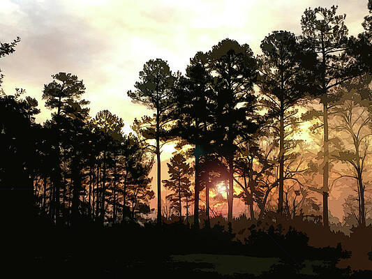 Wall Art featuring the digital art Winter Morning by Gina Harrison