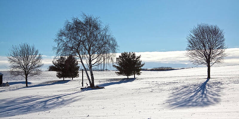 Winter Wall Art featuring the photograph Winter Shadows by Tatiana Travelways