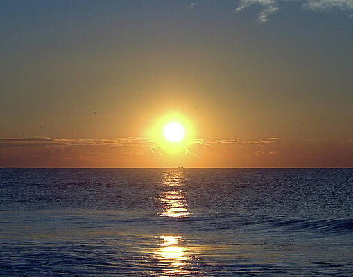 Wall Art featuring the photograph Winter Sunrise I I by Robert Newman